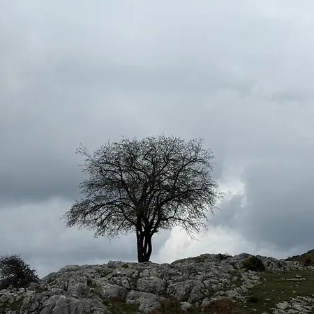 Deluis Apartamento Gramsh