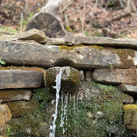 Appartement Deluis *