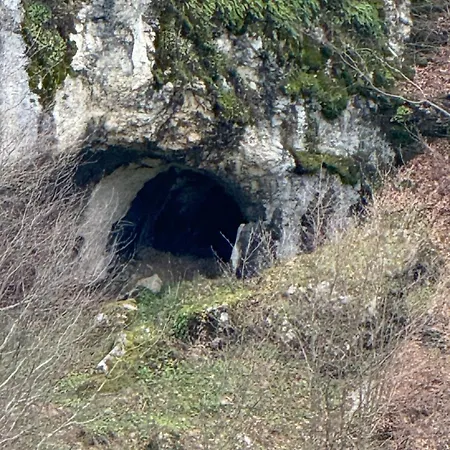 Deluis Daire