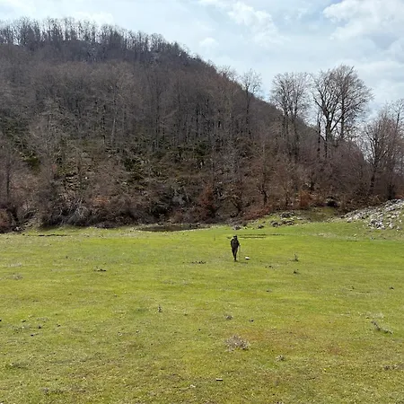 Deluis شقة Gramsh